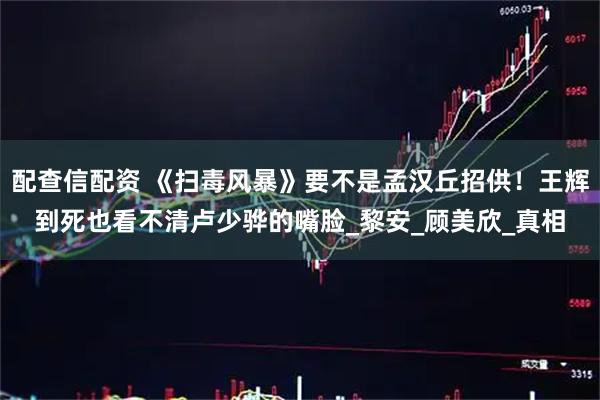 配查信配资 《扫毒风暴》要不是孟汉丘招供！王辉到死也看不清卢少骅的嘴脸_黎安_顾美欣_真相